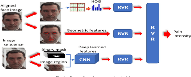 Figure 1 for Fusing Deep Learned and Hand-Crafted Features of Appearance, Shape, and Dynamics for Automatic Pain Estimation