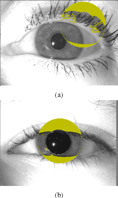 Figure 3 for An Analysis of 1-to-First Matching in Iris Recognition