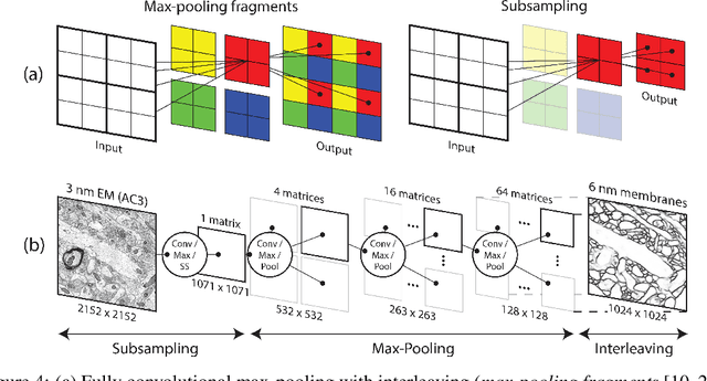 Figure 4 for A Multi-Pass Approach to Large-Scale Connectomics