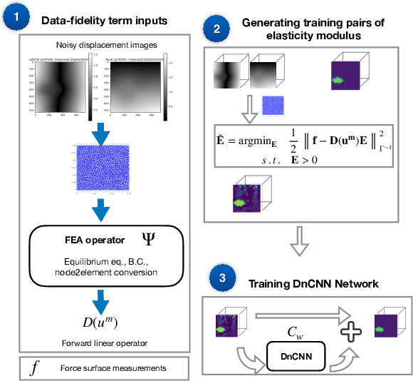 Figure 1 for Ultrasound Elasticity Imaging Using Physics-based Models And Learning-based Plug-And-Play Priors