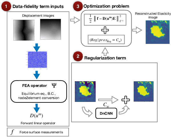 Figure 3 for Ultrasound Elasticity Imaging Using Physics-based Models And Learning-based Plug-And-Play Priors