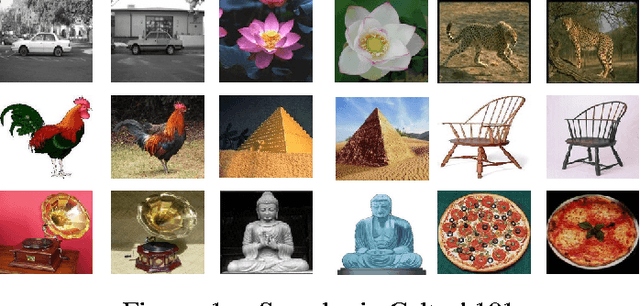 Figure 1 for Blurred Image Classification based on Adaptive Dictionary