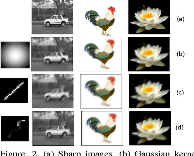 Figure 3 for Blurred Image Classification based on Adaptive Dictionary