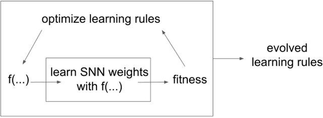 Figure 1 for Evolving-to-Learn Reinforcement Learning Tasks with Spiking Neural Networks