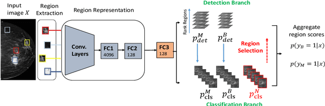 Figure 1 for Classification and Detection in Mammograms with Weak Supervision via Dual Branch Deep Neural Net