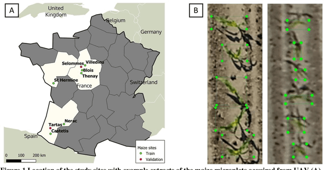 Figure 1 for Estimates of maize plant density from UAV RGB images using Faster-RCNN detection model: impact of the spatial resolution