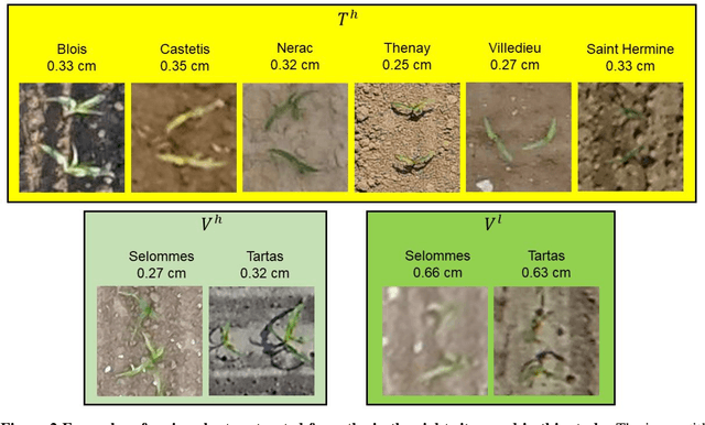 Figure 3 for Estimates of maize plant density from UAV RGB images using Faster-RCNN detection model: impact of the spatial resolution