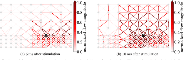 Figure 2 for Estimating and Analyzing Neural Flow Using Signal Processing on Graphs