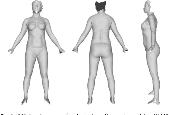 Figure 2 for Anthropometric clothing measurements from 3D body scans