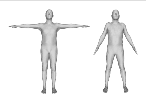 Figure 4 for Anthropometric clothing measurements from 3D body scans