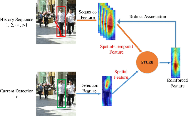Figure 1 for STURE: Spatial-Temporal Mutual Representation Learning for Robust Data Association in Online Multi-Object Tracking