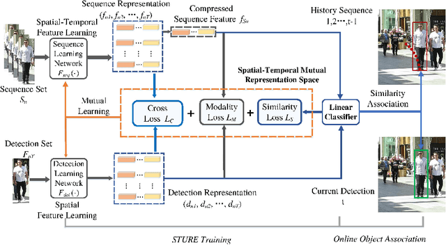 Figure 3 for STURE: Spatial-Temporal Mutual Representation Learning for Robust Data Association in Online Multi-Object Tracking