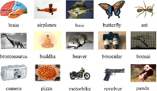 Figure 2 for Label Embedded Dictionary Learning for Image Classification
