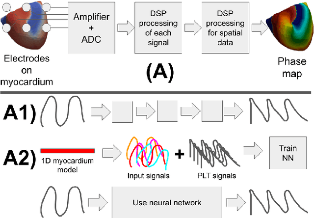 Figure 1 for Phase mapping for cardiac unipolar electrograms with neural network instead of phase transformation