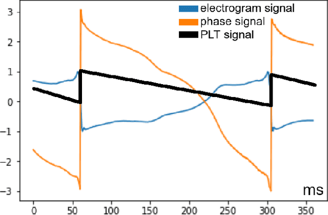Figure 2 for Phase mapping for cardiac unipolar electrograms with neural network instead of phase transformation