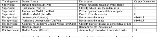 Figure 1 for Divergent representations of ethological visual inputs emerge from supervised, unsupervised, and reinforcement learning