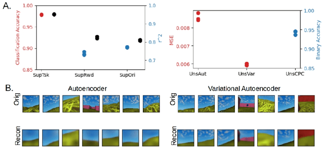 Figure 3 for Divergent representations of ethological visual inputs emerge from supervised, unsupervised, and reinforcement learning