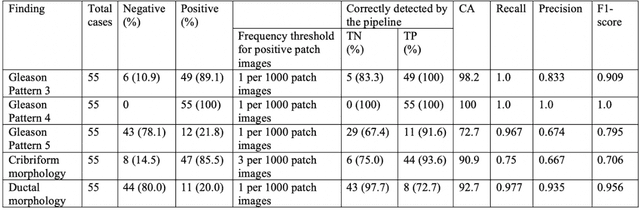 Figure 2 for Deep Learning for Prostate Pathology