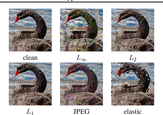 Figure 1 for Transfer of Adversarial Robustness Between Perturbation Types