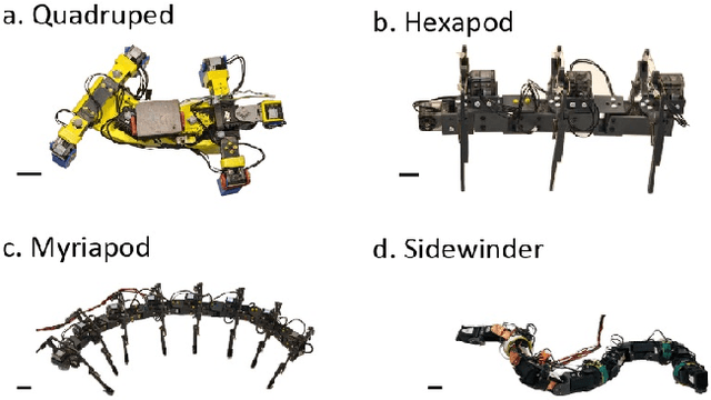 Figure 1 for A general locomotion control framework for serially connected multi-legged robots