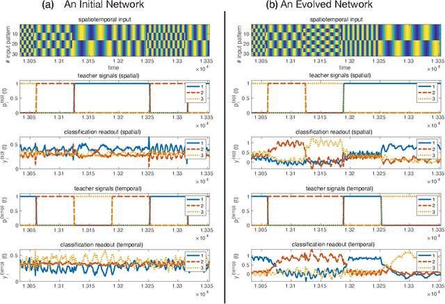 Figure 3 for Functional differentiations in evolutionary reservoir computing networks