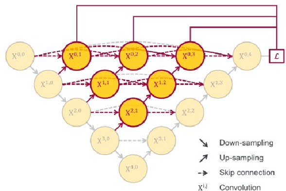 Figure 3 for Enforcing temporal consistency in Deep Learning segmentation of brain MR images