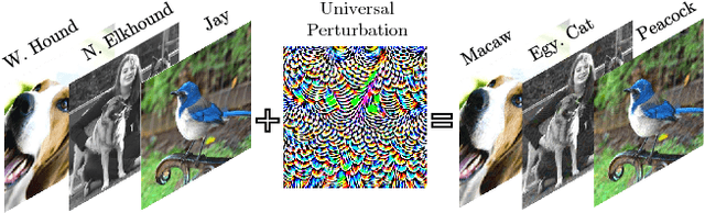 Figure 1 for Universal Adversarial Training