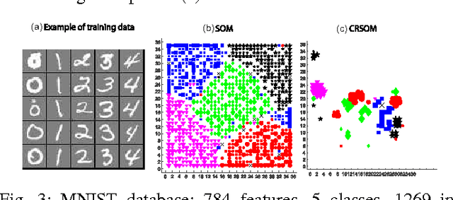 Figure 3 for Classifier with Hierarchical Topographical Maps as Internal Representation