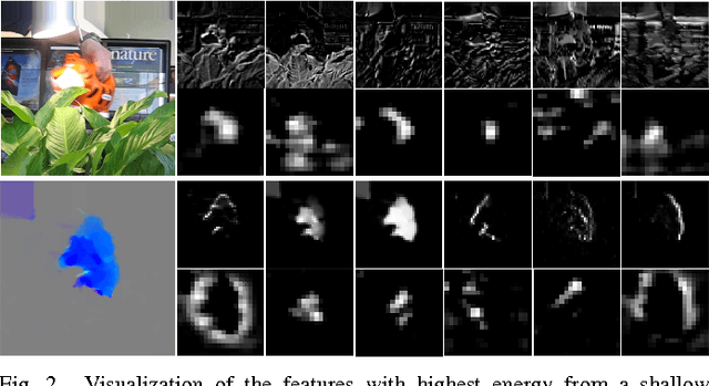 Figure 2 for Deep Motion Features for Visual Tracking