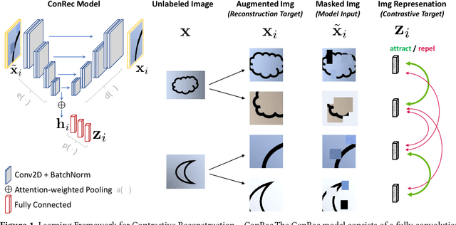 Figure 1 for Towards Fine-grained Visual Representations by Combining Contrastive Learning with Image Reconstruction and Attention-weighted Pooling