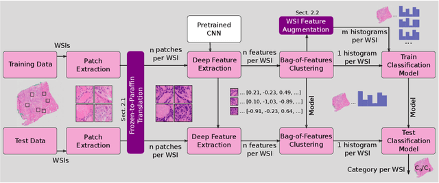 Figure 2 for Frozen-to-Paraffin: Categorization of Histological Frozen Sections by the Aid of Paraffin Sections and Generative Adversarial Networks