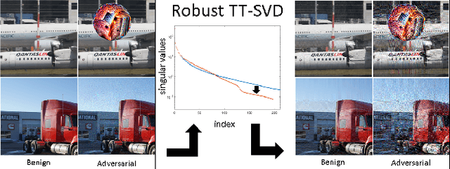 Figure 1 for Convolutional Neural Networks with Transformed Input based on Robust Tensor Network Decomposition