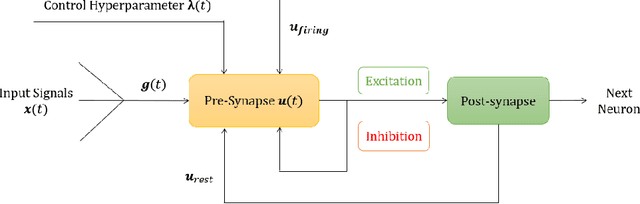 Figure 3 for Bifurcation Spiking Neural Network
