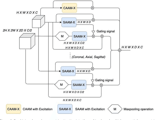 Figure 4 for CASPIANET++: A Multidimensional Channel-Spatial Asymmetric Attention Network with Noisy Student Curriculum Learning Paradigm for Brain Tumor Segmentation