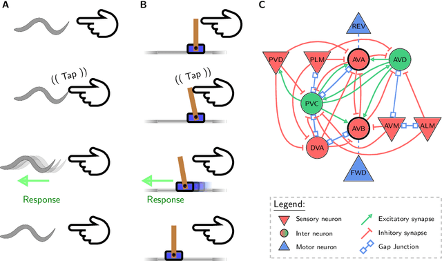 Figure 1 for Worm-level Control through Search-based Reinforcement Learning