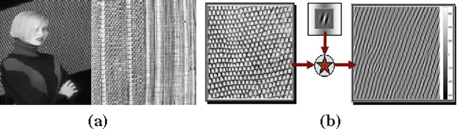 Figure 1 for Piecewise Linear Patch Reconstruction for Segmentation and Description of Non-smooth Image Structures