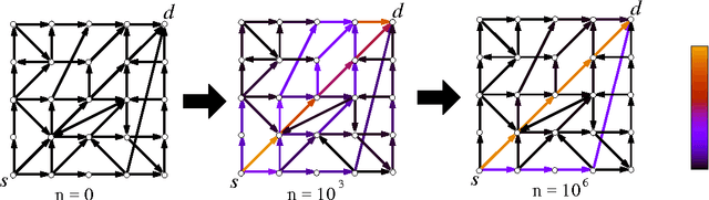 Figure 3 for On the Emergence of Shortest Paths by Reinforced Random Walks