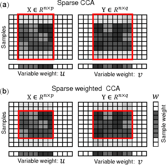 Figure 1 for Sparse Weighted Canonical Correlation Analysis
