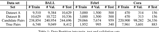 Figure 2 for Knowledge graph based methods for record linkage