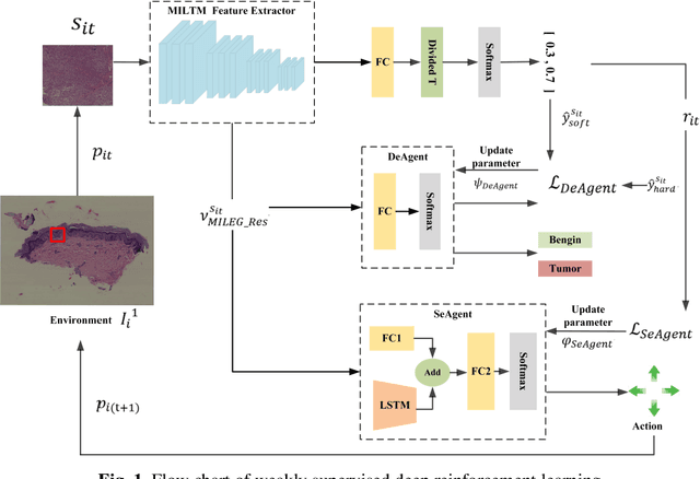 Figure 1 for A Deep Reinforcement Learning Framework for Rapid Diagnosis of Whole Slide Pathological Images