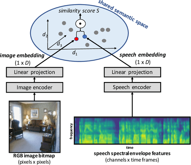 Figure 1 for Can phones, syllables, and words emerge as side-products of cross-situational audiovisual learning? -- A computational investigation