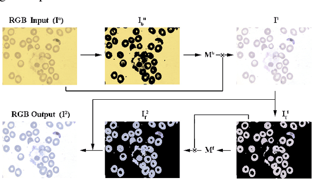 Figure 1 for Adaptive Gray World-Based Color Normalization of Thin Blood Film Images