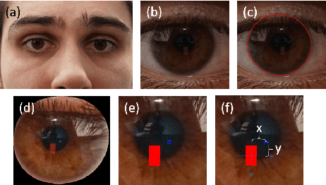 Figure 1 for Feasibility of Corneal Imaging for Handheld Augmented Reality