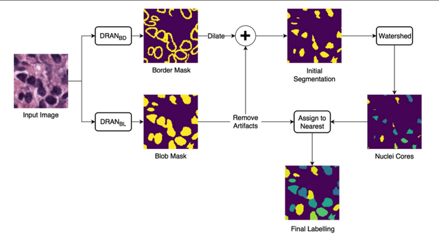 Figure 1 for Methods for Segmentation and Classification of Digital Microscopy Tissue Images