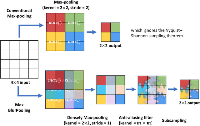 Figure 2 for Investigating Shift-Variance of Convolutional Neural Networks in Ultrasound Image Segmentation