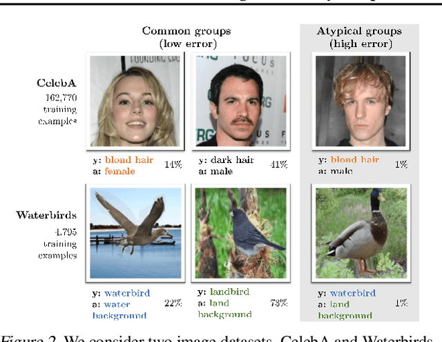 Figure 2 for An Investigation of Why Overparameterization Exacerbates Spurious Correlations