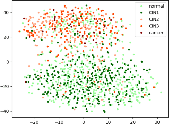 Figure 1 for Semi-Supervised Cervical Dysplasia Classification With Learnable Graph Convolutional Network