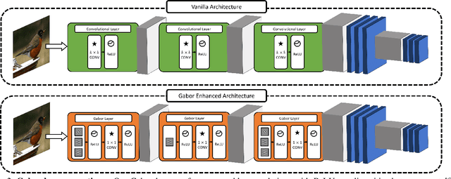 Figure 3 for Robust Gabor Networks