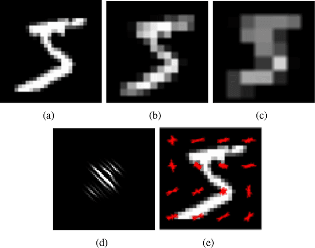 Figure 3 for Large-scale spatiotemporal photonic reservoir computer for image classification