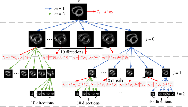 Figure 3 for CNN-Based Invertible Wavelet Scattering for the Investigation of Diffusion Properties of the In Vivo Human Heart in Diffusion Tensor Imaging